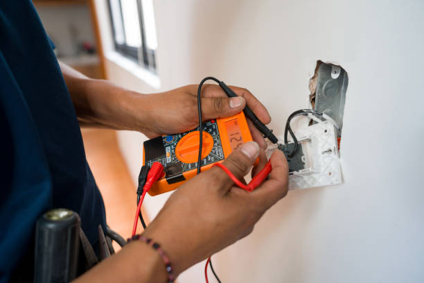 Best Electric Panel Repair  in Oakleaf Plantation, FL